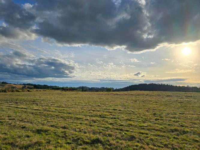 Espectaculares parcelas en venta Llanquihue (89477)