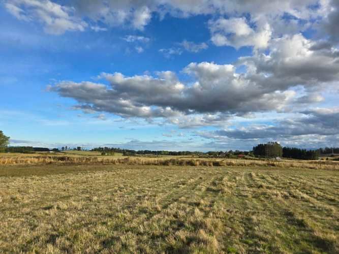 Espectaculares parcelas en venta Llanquihue (89477)