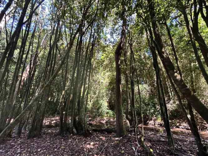 ¡Oportunidad! Vendo hermoso terreno al lado de la ruta 5 Sur altura Mafil .