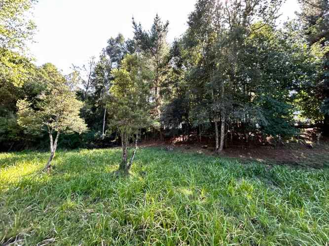 ¡Oportunidad! Vendo hermoso terreno al lado de la ruta 5 Sur altura Mafil .