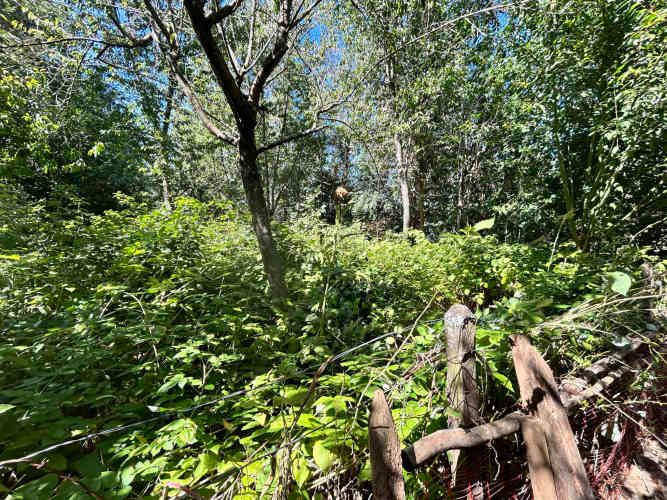 ¡Oportunidad! Vendo hermoso terreno al lado de la ruta 5 Sur altura Mafil .