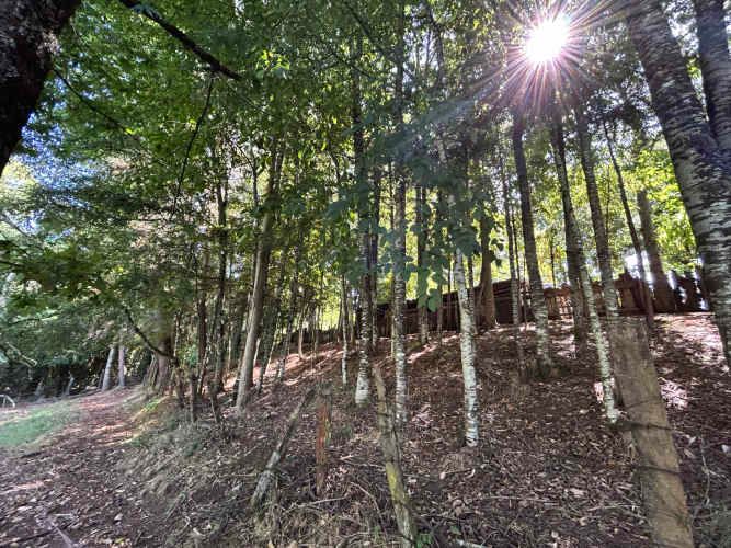 ¡Oportunidad! Vendo hermoso terreno al lado de la ruta 5 Sur altura Mafil .