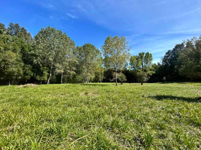¡Oportunidad! Vendo hermoso terreno al lado de la ruta 5 Sur altura Mafil .
