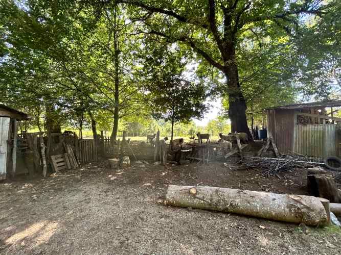 ¡Oportunidad! Vendo hermoso terreno al lado de la ruta 5 Sur altura Mafil .