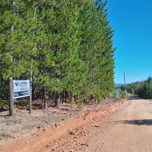 PARCELA Sector Los Cristales, camino interior a Vichuquén