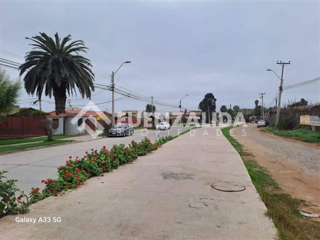 SITIO Avenida Las Palmeras