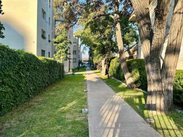 Acogedor Departamento Recién Remodelado (89151)