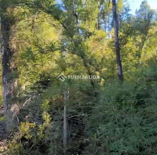 PARCELA COLACO CALBUCO