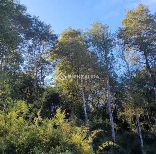 PARCELA COLACO CALBUCO