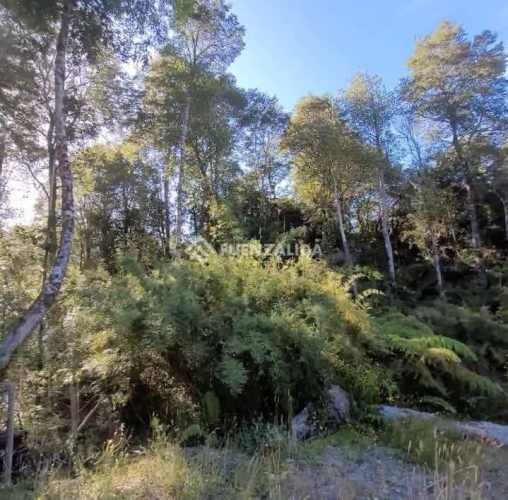 PARCELA COLACO CALBUCO