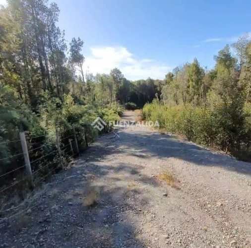 PARCELA COLACO CALBUCO