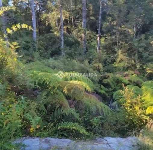 PARCELA Colaco,Calbuco