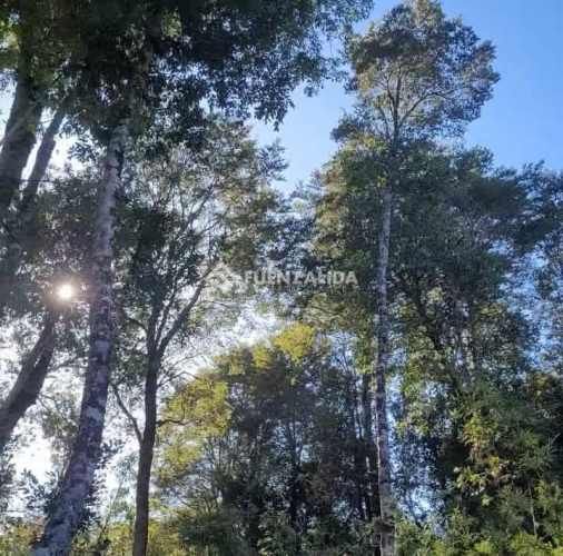 PARCELA Colaco,Calbuco