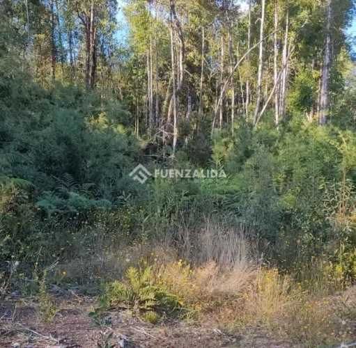 PARCELA Colaco,Calbuco