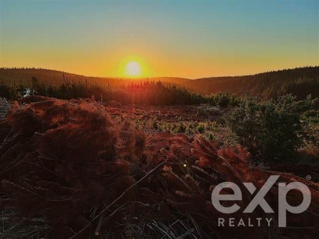 TERRENO CONSTRUCCION Venta sitio 5000m2 Alto Colorado Pichilemu