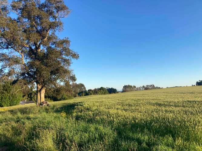 Se venden parcelas excelente ubicación Braunau