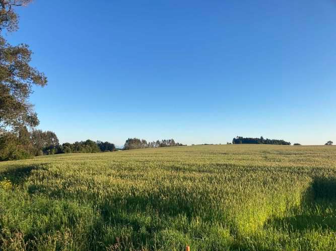 Se venden parcelas excelente ubicación Braunau