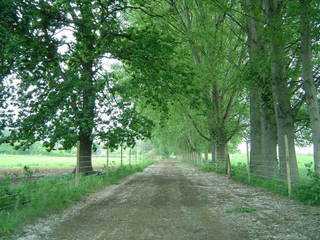 Terreno agrícola con derechos de agua (89921)
