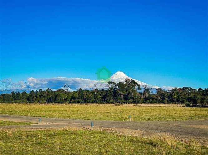 PARCELA Puerto Octay