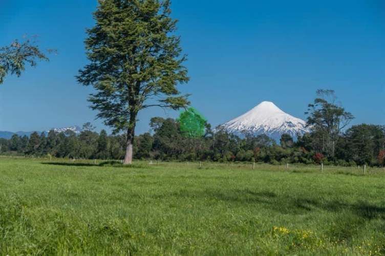 PARCELA Puerto Octay