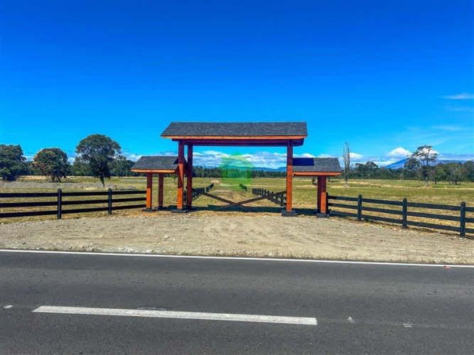 PARCELA Puerto Octay