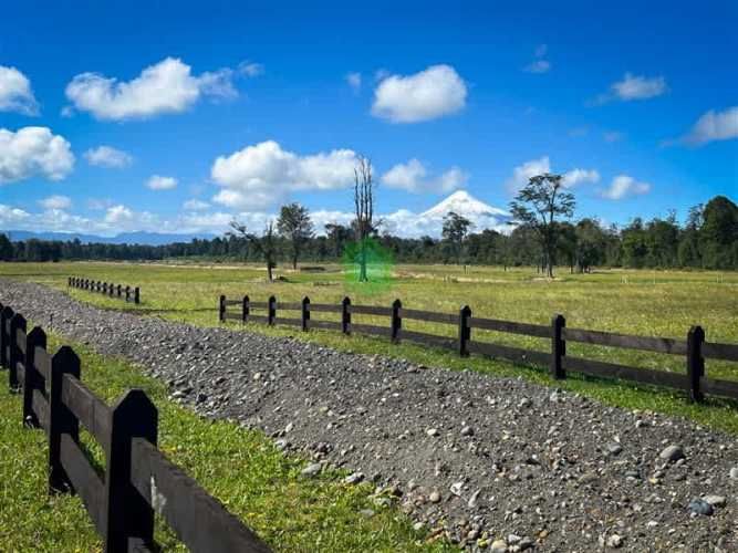 PARCELA Puerto Octay