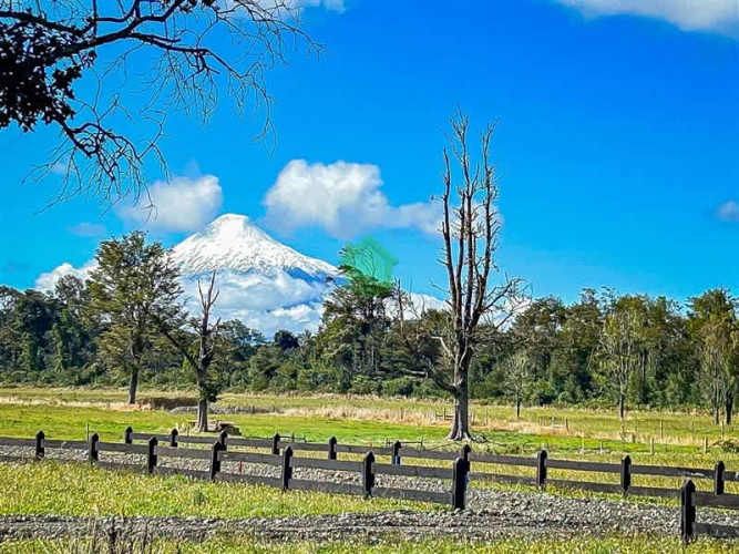 PARCELA Puerto Octay