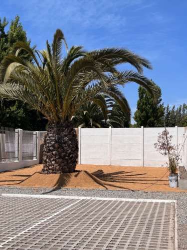 Modelo Laurel 54m2 Proyecto Nuevo Entrega Inmediata - Anexa