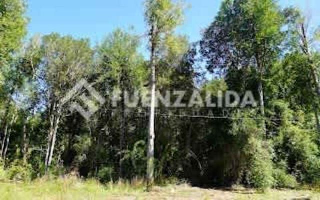 PARCELA A 4 minutos de Nueva Braunau