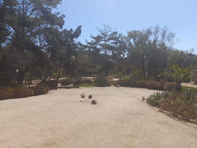 Parcela Con Casa Priincipal Y Cabañas