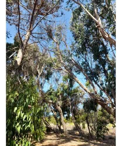 Parcela Con Casa Priincipal Y Cabañas