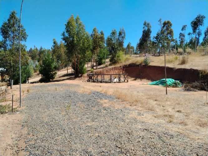 Gestimob Vende Parcela De 5.000 M2 Con Casa En Nilahue Alto