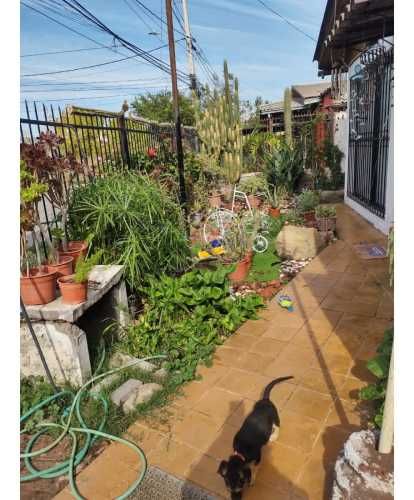 Vendemos Casa Padre Hurtado Cercana A Autopista Del Sol