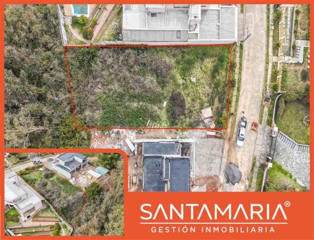 SITIO Calle Dos, Concepción