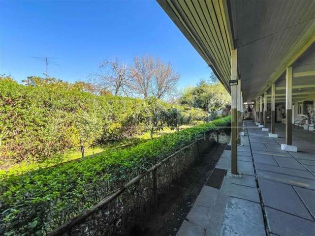 LOCAL COMERCIAL Manuel Rodriguez , Chiguayante