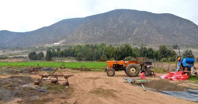 Terreno Construcción  AVDA.GUILLERMO ULRIKSEN