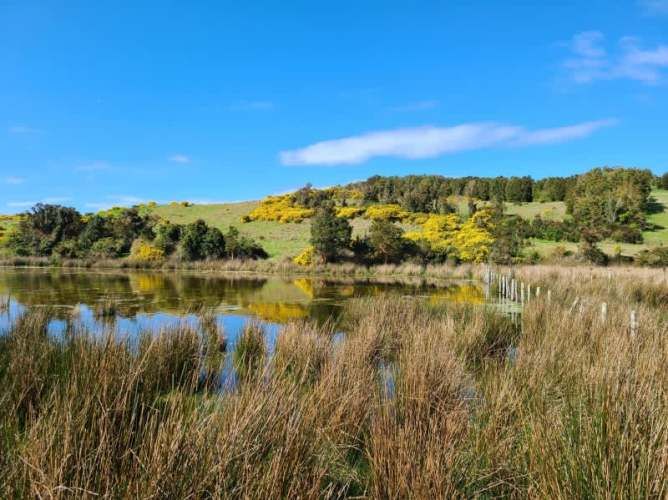 PARCELAS CON VISTA AL MAR - ISLA QUENAC, CHILOÉ