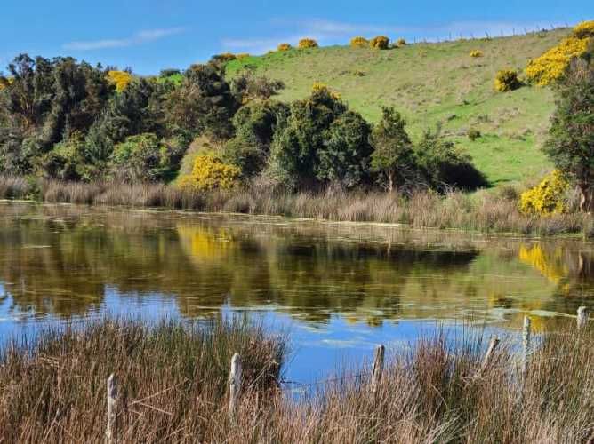 PARCELAS CON VISTA AL MAR - ISLA QUENAC, CHILOÉ