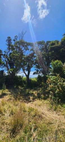 PARCELAS CON VISTA AL MAR - ISLA QUENAC, CHILOÉ