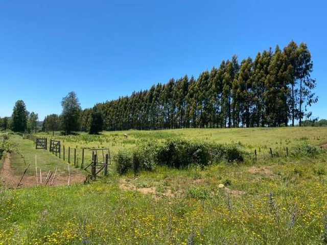 Terreno Lautaro, Araucanía