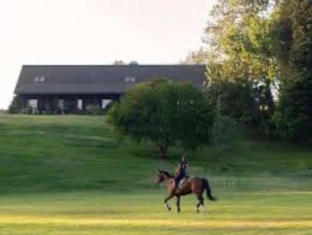 Polo Maitencillo (90797)