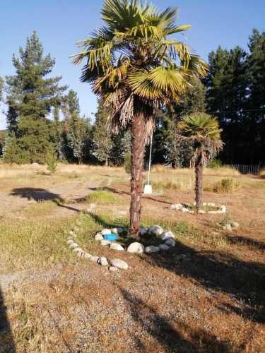 Terreno 5.000m2 con Casa de 4D 2B Linares (90919)