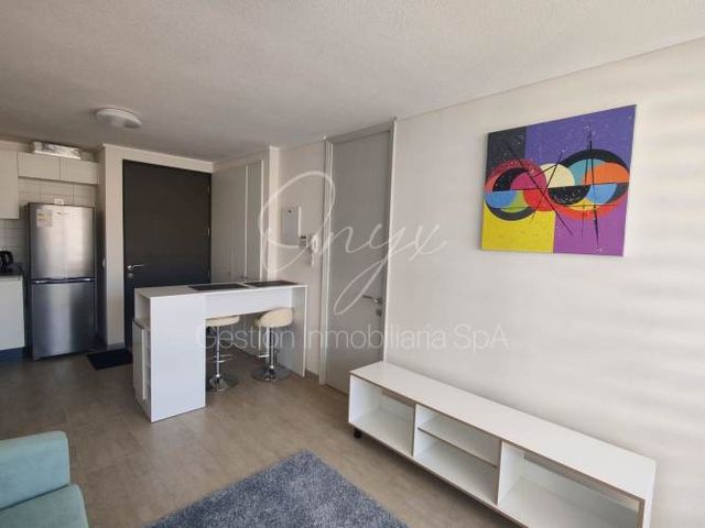 DEPARTAMENTO AMOBLADO 1 DORMITORIO PARQUE BRASIL