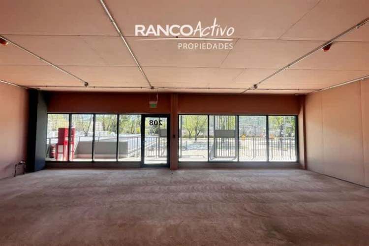 LOCAL COMERCIAL Av Rudecindo Ortega