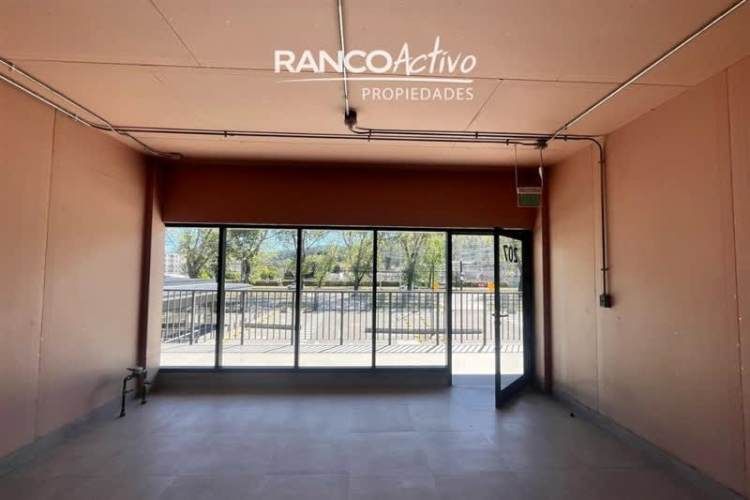 LOCAL COMERCIAL Av Rudecindo Ortega