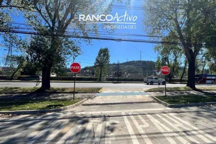 LOCAL COMERCIAL Av Rudecindo Ortega