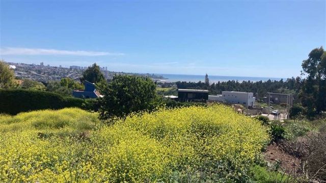 SITIO Las gaviotas cerca de Lomas del Mauco