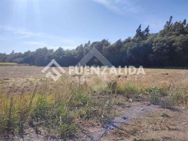 PARCELA Sector Coyanco