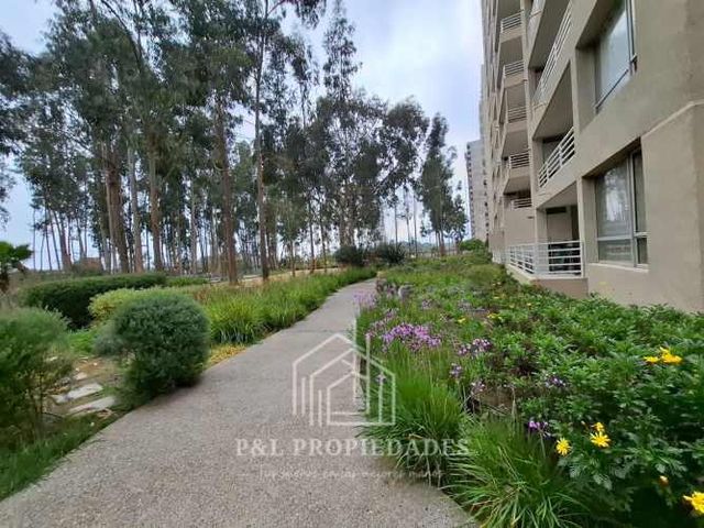 DEPARTAMENTO CONDOMINIO COSTA ALGARROBO