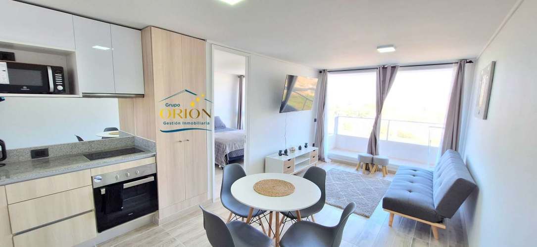 Arriendo Dpto. Amoblado MARZO-DIC 2026 (91227)